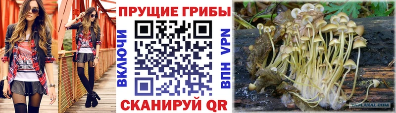 Галлюциногенные грибы GOLDEN TEACHER  Копейск 